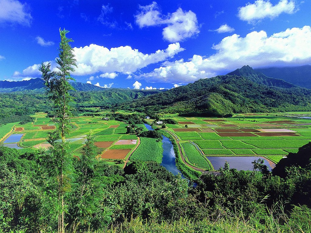 Hanalei Valley, Kauai, Hawaii